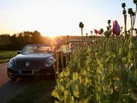 Gebraucht VW Beetle Cabriolet 105 PS (77 kW) 2014 Schwarz Cabrio