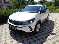 Gebraucht Opel Grandland X Basis 131 PS (96 kW) 2022 Jade weiss/arktis weiss SUV