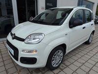 Neu Fiat Panda 69 PS (50 kW) 2025 Weiß Kleinwagen