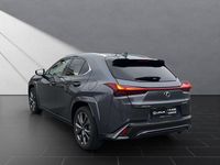 Gebraucht Lexus UX 250h Sport Line 184 PS (135 kW) 2023 Grau SUV