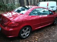 Gebraucht Peugeot 307 CC Sport 180 PS (132 kW) 2004 Cabrio