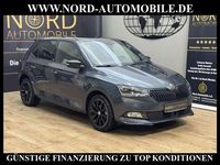 Gebraucht Skoda Fabia Monte Carlo 95 PS (69 kW) 2020 Quarzgrau metallic (metallic) Kleinwagen