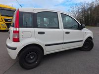 Gebraucht Fiat Panda 69 PS (50 kW) 2011 Weiß Kleinwagen