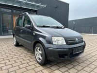 Gebraucht Fiat Panda Dynamic 60 PS (44 kW) 2004 Schwarz Kleinwagen
