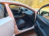 Gebraucht Lexus NX300 197 PS (144 kW) 2021 Grau SUV