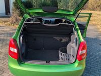 Gebraucht Skoda Fabia Active 69 PS (50 kW) 2012 Grün Kleinwagen