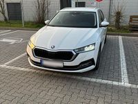 Gebraucht Skoda Octavia 150 PS (110 kW) 2022 Weiß Kombi