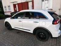 Gebraucht Kia Niro 141 PS (103 kW) 2018 SUV