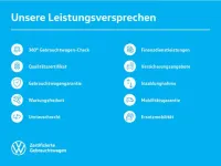 Gebraucht VW T-Roc Life 150 PS (110 kW) 2025 Weiß SUV