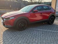 Gebraucht Mazda CX-30 Exclusive-Line 122 PS (89 kW) 2022 Rot SUV