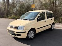 Gebraucht Fiat Panda 54 PS (39 kW) 2010 Gelb Kleinwagen