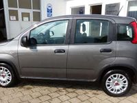 gebraucht Fiat Panda MY22 Hybrid