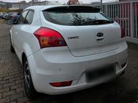 Gebraucht Kia Ceed 125 PS (91 kW) 2012 Weiß Kleinwagen