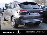 Gebraucht Ford Kuga ST-Line X 150 PS (110 kW) 2024 Metallic SUV