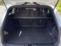 Gebraucht Ford Focus ST-Line X 155 PS (114 kW) 2024 Weiß Kombi
