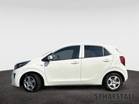 Gebraucht Kia Picanto Vision 67 PS (49 kW) 2024 Weiss ((ud) schneeweiss) Kleinwagen
