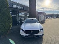 Gebraucht Mazda CX-30 150 PS (110 kW) 2022 Snowflake white pearl SUV