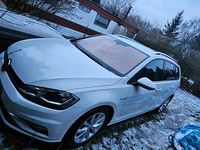 Gebraucht VW Golf VIII 131 PS (96 kW) 2020 Weiß Kombi