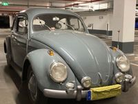 gebraucht VW Käfer Standard Bj. 55 Jupitergrau
