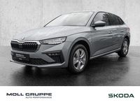 Neu Skoda Scala Selection 116 PS (85 kW) 2026 Silber Kleinwagen