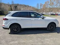 Gebraucht Porsche Cayenne 262 PS (192 kW) 2016 Weiß SUV