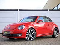 gebraucht VW Beetle Cabriolet Design DSG Xenon Leder Sitzhzg.