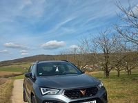 Gebraucht Cupra Ateca 190 PS (139 kW) 2024 Grau SUV