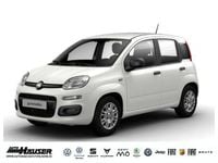 Gebraucht Fiat Panda Icon 69 PS (50 kW) 2025 Weiß Limousine