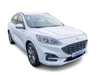 Gebraucht Ford Kuga ST-Line 152 PS (111 kW) 2024 Weiß SUV