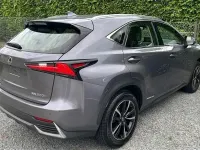 Gebraucht Lexus NX300h 155 PS (114 kW) 2021 Grau SUV