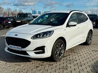Gebraucht Ford Kuga ST-Line X 150 PS (110 kW) 2021 Frozen white SUV