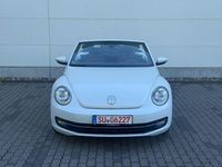 Gebraucht VW Beetle Cabriolet Design 105 PS (77 kW) 2014 Weiß Cabrio