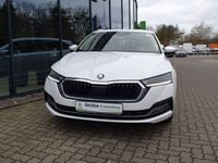 Gebraucht Skoda Octavia Style 150 PS (110 kW) 2024 Candyweiss candyweiss Kombi