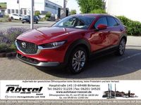 Gebraucht Mazda CX-30 Exclusive-Line 140 PS (102 kW) 2025 SUV