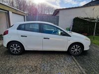 Gebraucht Fiat Bravo 2008 Weiß Kleinwagen