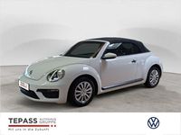 Gebraucht VW Beetle Cabriolet Comfortline 105 PS (77 kW) 2018 Weiss Cabrio