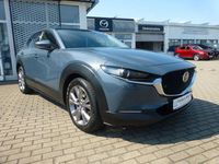 Gebraucht Mazda CX-30 Selection 116 PS (85 kW) 2020 Grau SUV