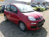 Neu Fiat Panda Icon 70 PS (51 kW) 2026 Schwarz Kleinwagen