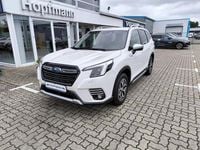 Gebraucht Subaru Forester Comfort 150 PS (110 kW) 2023 Weiß SUV