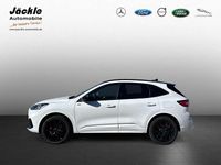 Gebraucht Ford Kuga ST-Line X 152 PS (111 kW) 2024 Frostweiß SUV