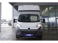 Neu Opel Movano 181 PS (133 kW) 2025 Van / Kleinbus
