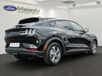 Gebraucht Ford Mustang Mach-E Basis 216 kW (294 PS) 2023 Iridiumschwarz metallic SUV