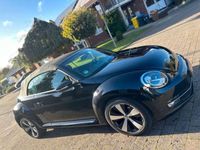 gebraucht VW Beetle Cabriolet Cup BMT*1.Hand*XEN*SH*EDITION