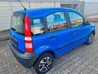 gebraucht Fiat Panda 1.1 Blau 1 Vorb 113 Tkm. Tüv neu