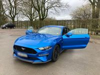 gebraucht Ford Mustang GT 5.0 V8 | 55 Years Edition | Deutsch