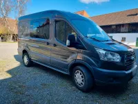 Gebraucht Ford Transit 170 PS (125 kW) 2018 Grau Pickup