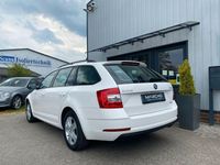 Gebraucht Skoda Octavia 131 PS (96 kW) 2019 Candyweiss Kombi