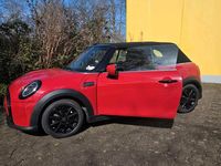 Gebraucht Mini Cooper Cabriolet 136 PS (100 kW) 2022 Rot Cabrio
