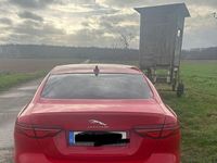 Gebraucht Jaguar XE R-Dynamic 250 PS (183 kW) 2019 Rot Limousine