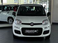 Gebraucht Fiat Panda Pop 69 PS (50 kW) 2016 Weiß Kleinwagen